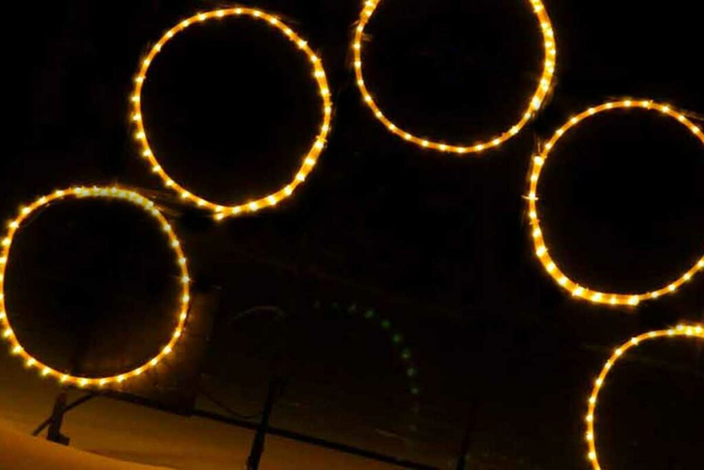 Light Displays BHP Enchanted Forest