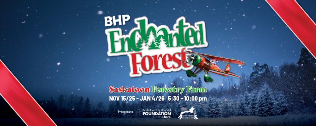 Enchanted Forest 25-26