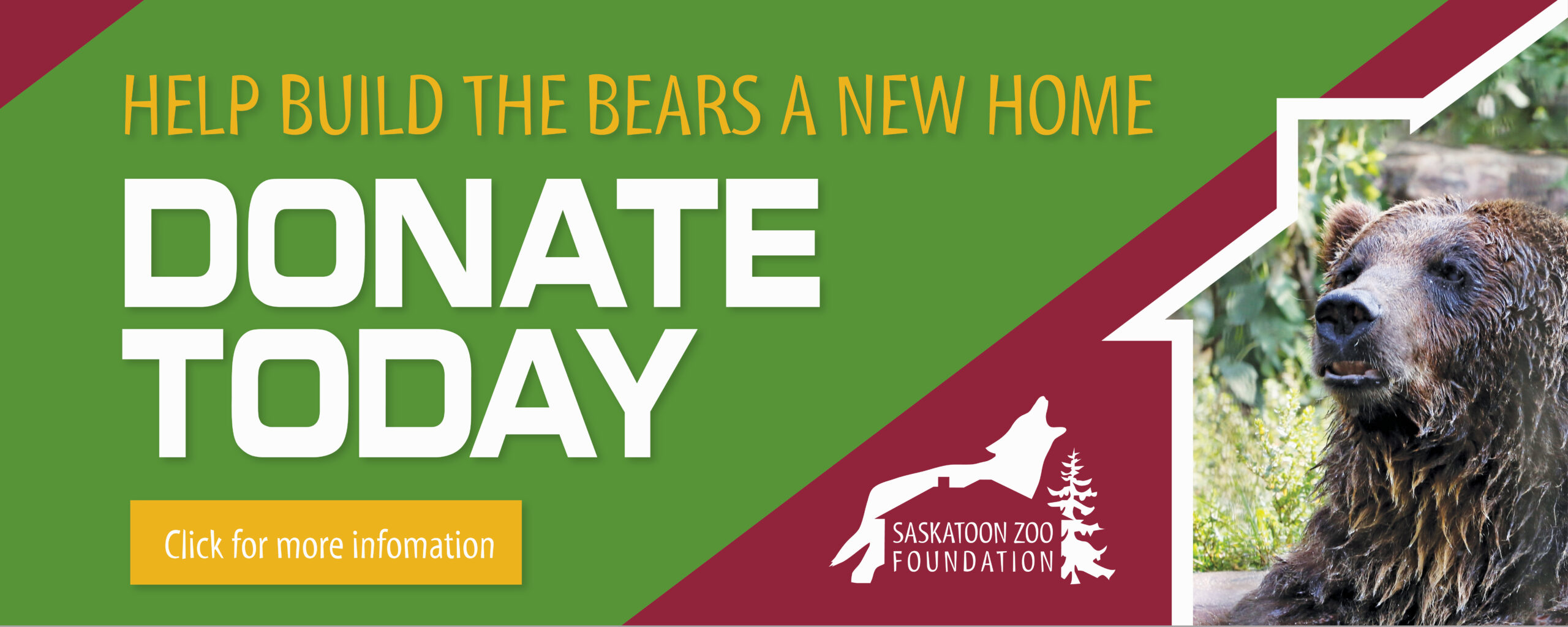 Donate Bears new home